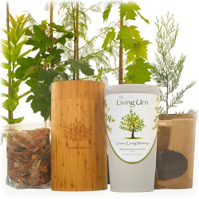 Grow a Living Memory
